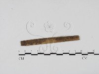 登錄號:F0011587藏品圖，第5張