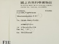 登錄號:F0011588藏品圖，第2張