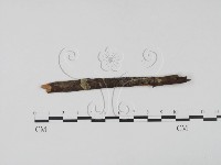 登錄號:F0011589藏品圖，第1張