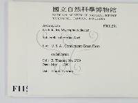 登錄號:F0011591藏品圖，第2張