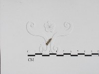 登錄號:F0011591藏品圖，第3張