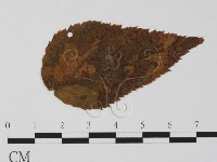 登錄號:F0011592藏品圖，第1張