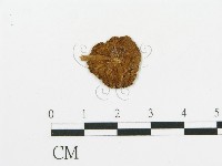 登錄號:F0011594藏品圖，第1張