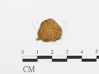 登錄號:F0011594藏品圖，第4張