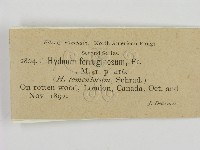 登錄號:F0011596藏品圖，第2張