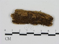 登錄號:F0011596藏品圖，第1張