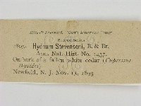 登錄號:F0011597藏品圖，第2張