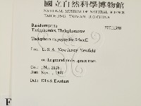 登錄號:F0011598藏品圖，第2張