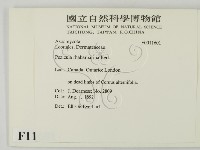 登錄號:F0011601藏品圖，第2張