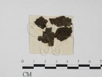 登錄號:F0011601藏品圖，第1張