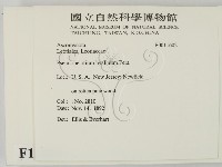 登錄號:F0011602藏品圖，第2張