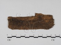 登錄號:F0011602藏品圖，第1張