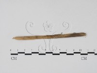 登錄號:F0011603藏品圖，第1張