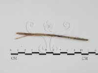登錄號:F0011603藏品圖，第3張