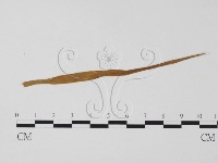 登錄號:F0011604藏品圖，第3張