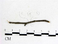 登錄號:F0011605藏品圖，第3張