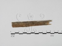 登錄號:F0011606藏品圖，第1張
