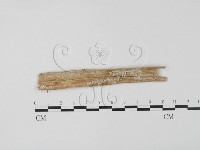 登錄號:F0011606藏品圖，第3張