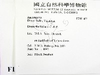 登錄號:F0011607藏品圖，第2張