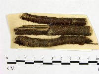 登錄號:F0011607藏品圖，第1張