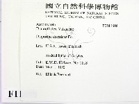 登錄號:F0011608藏品圖，第2張