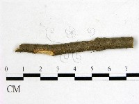 登錄號:F0011608藏品圖，第1張