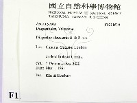 登錄號:F0011610藏品圖，第2張