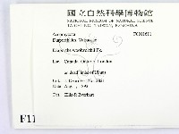 登錄號:F0011611藏品圖，第2張