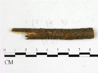 登錄號:F0011611藏品圖，第1張