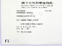 登錄號:F0011612藏品圖，第2張