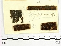 登錄號:F0011612藏品圖，第1張