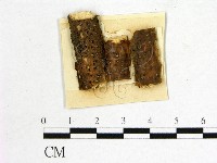 登錄號:F0011613藏品圖，第1張