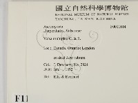 登錄號:F0011614藏品圖，第2張