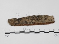 登錄號:F0011615藏品圖，第1張
