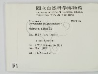 登錄號:F0011616藏品圖，第2張
