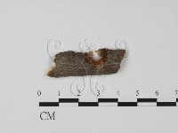 登錄號:F0011616藏品圖，第1張