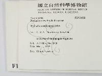 登錄號:F0011618藏品圖，第2張