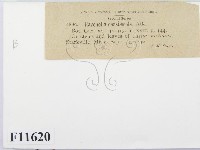 登錄號:F0011620藏品圖，第2張