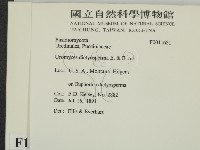 登錄號:F0011621藏品圖，第2張