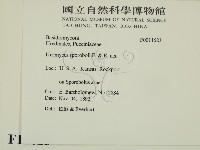 登錄號:F0011623藏品圖，第2張