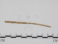 登錄號:F0011623藏品圖，第1張