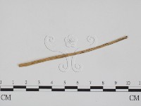 登錄號:F0011623藏品圖，第3張