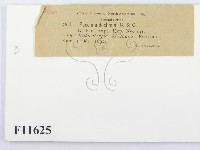 登錄號:F0011625藏品圖，第3張