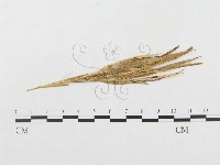 登錄號:F0011625藏品圖，第4張
