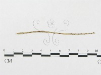 登錄號:F0011626藏品圖，第1張
