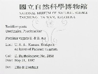 登錄號:F0011627藏品圖，第2張
