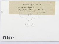 登錄號:F0011627藏品圖，第4張