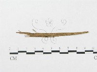 登錄號:F0011627藏品圖，第1張