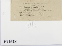 登錄號:F0011628藏品圖，第3張