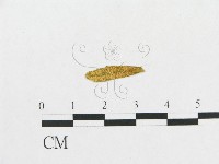登錄號:F0011628藏品圖，第1張